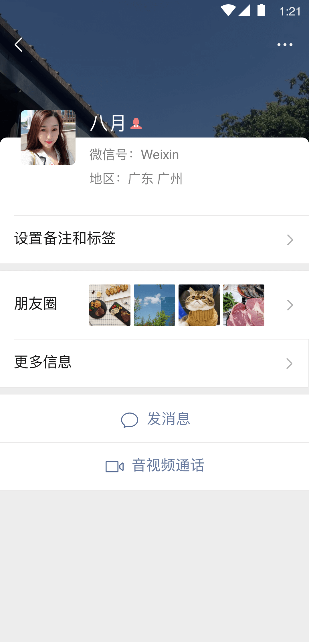 网上虚拟狗狗赚钱截图